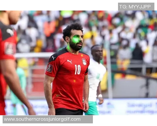 卡塔尔世界杯八强球星盘点:探索足坛新星与冠军梦的碰撞