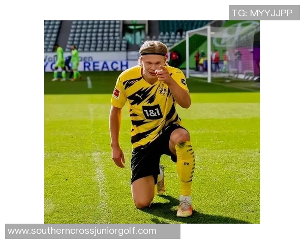 退役球星重返赛场幕后故事揭秘 揭开传奇球员离开后的新人生